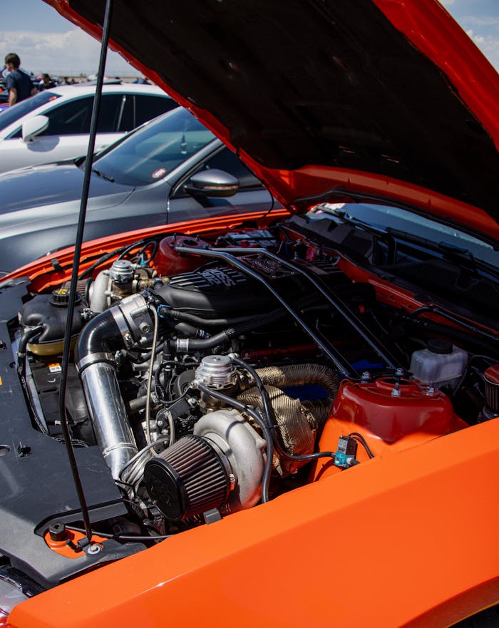 Close-up of a Ford Mustang engine under the hood at an outdoor car show.